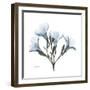 Soft Oleander-Albert Koetsier-Framed Premium Giclee Print