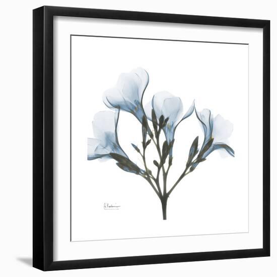 Soft Oleander-Albert Koetsier-Framed Premium Giclee Print