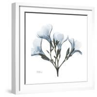 Soft Oleander-Albert Koetsier-Framed Premium Giclee Print