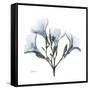 Soft Oleander-Albert Koetsier-Framed Stretched Canvas