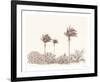 Soft Palm - Scene-Hilary Armstrong-Framed Limited Edition