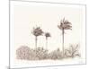 Soft Palm - Scene-Hilary Armstrong-Mounted Limited Edition