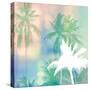 Soft Palm Trees-Evangeline Taylor-Stretched Canvas