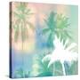 Soft Palm Trees-Evangeline Taylor-Stretched Canvas