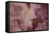 Soft Petals I-Rita Crane-Framed Stretched Canvas