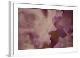 Soft Petals I-Rita Crane-Framed Photographic Print