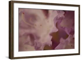 Soft Petals I-Rita Crane-Framed Photographic Print