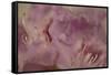 Soft Petals II-Rita Crane-Framed Stretched Canvas