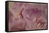 Soft Petals II-Rita Crane-Framed Stretched Canvas