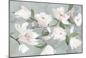Soft Pink Magnolias-Asia Jensen-Mounted Art Print
