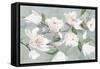 Soft Pink Magnolias-Asia Jensen-Framed Stretched Canvas