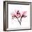 Soft Pink Orchid-Albert Koetsier-Framed Art Print