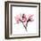 Soft Pink Orchid-Albert Koetsier-Framed Art Print