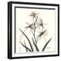 Soft Pink Orchids-Albert Koetsier-Framed Art Print