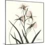 Soft Pink Orchids-Albert Koetsier-Mounted Premium Giclee Print