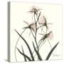 Soft Pink Orchids-Albert Koetsier-Stretched Canvas