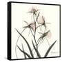 Soft Pink Orchids-Albert Koetsier-Framed Stretched Canvas