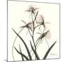 Soft Pink Orchids-Albert Koetsier-Mounted Art Print