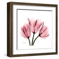 Soft Pink Tulips-Albert Koetsier-Framed Art Print