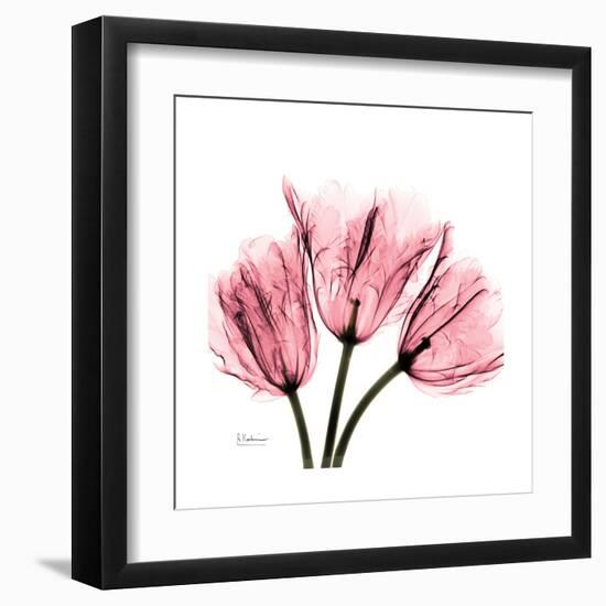 Soft Pink Tulips-Albert Koetsier-Framed Art Print