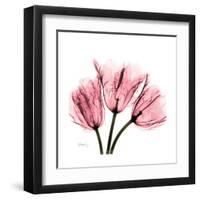 Soft Pink Tulips-Albert Koetsier-Framed Art Print