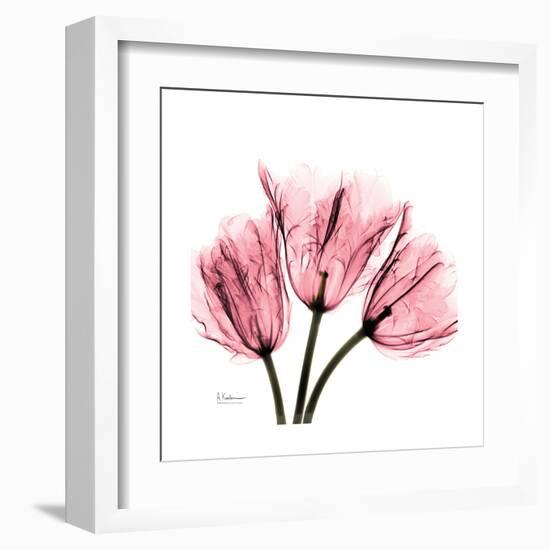 Soft Pink Tulips-Albert Koetsier-Framed Art Print