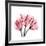 Soft Pink Tulips-Albert Koetsier-Framed Art Print