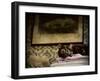 Soft Place to Fall-Jai Johnson-Framed Giclee Print