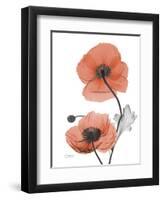 Soft Poppy-Albert Koetsier-Framed Art Print