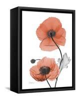 Soft Poppy-Albert Koetsier-Framed Stretched Canvas