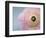 Soft protection-Heidi Westum-Framed Photographic Print