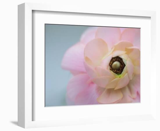 Soft protection-Heidi Westum-Framed Photographic Print