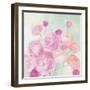 Soft Ranunculus-Julia Purinton-Framed Art Print