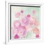 Soft Ranunculus-Julia Purinton-Framed Art Print