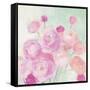 Soft Ranunculus-Julia Purinton-Framed Stretched Canvas