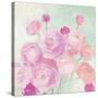 Soft Ranunculus-Julia Purinton-Stretched Canvas