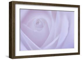 Soft Rose 6-Doug Chinnery-Framed Giclee Print