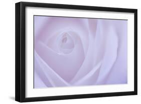 Soft Rose 6-Doug Chinnery-Framed Giclee Print