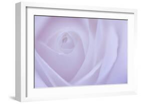 Soft Rose 6-Doug Chinnery-Framed Giclee Print