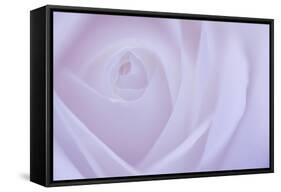 Soft Rose 6-Doug Chinnery-Framed Stretched Canvas