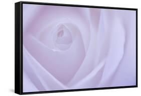 Soft Rose 6-Doug Chinnery-Framed Stretched Canvas