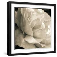 Soft Rose-Pete Kelly-Framed Giclee Print