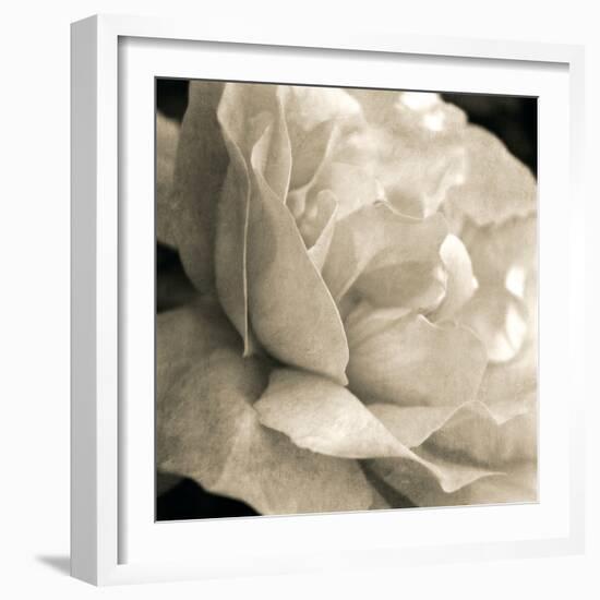 Soft Rose-Pete Kelly-Framed Giclee Print