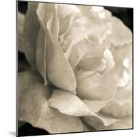 Soft Rose-Pete Kelly-Mounted Giclee Print
