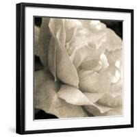 Soft Rose-Pete Kelly-Framed Giclee Print