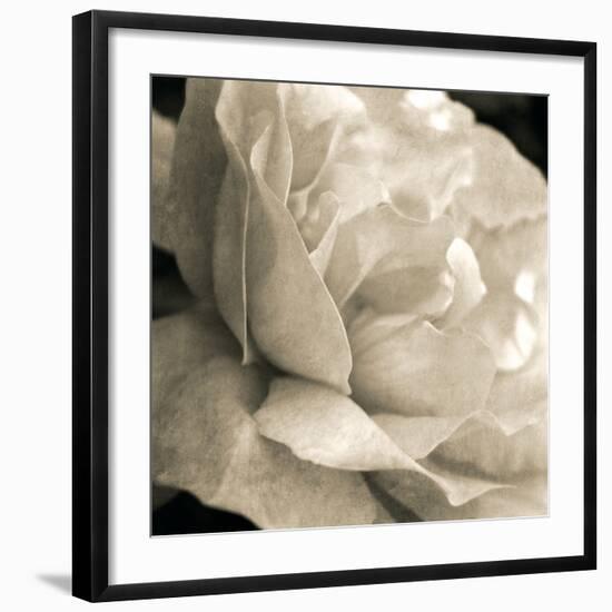 Soft Rose-Pete Kelly-Framed Giclee Print