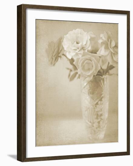 Soft Roses I-Shana Rae-Framed Giclee Print