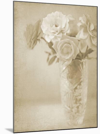 Soft Roses I-Shana Rae-Mounted Giclee Print