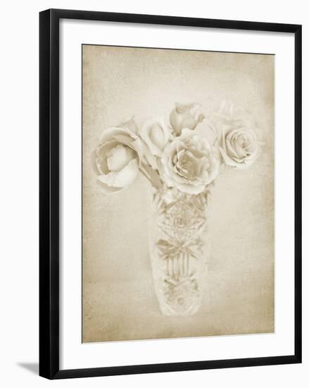 Soft Roses II-Shana Rae-Framed Giclee Print