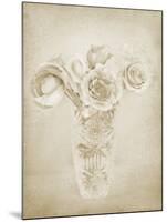 Soft Roses II-Shana Rae-Mounted Giclee Print